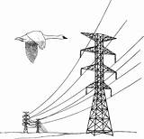 Power Clipart Pole Birds Clipground Lines Line sketch template
