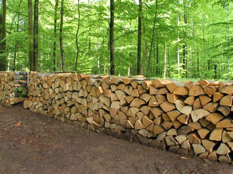 du bois supplementaire pour preparer lhiver commune darcey