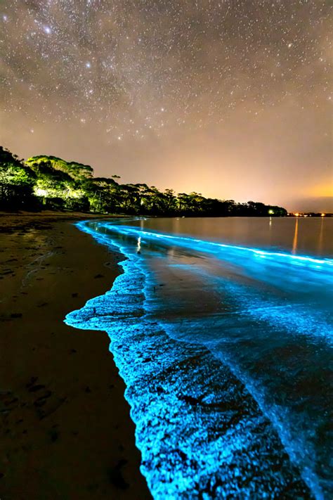 electric blue bioluminescence vertical jordan robins photography