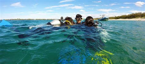 gold coast scuba diving learn to scuba dive course