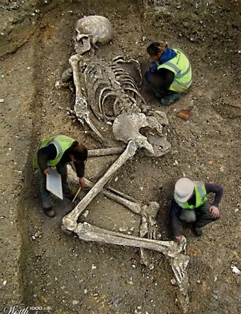 photo show skeleton  giant  unearthed fact check thatsnonsensecom