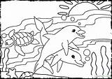 Coloring Pages Ocean Beach Sea Animals Underwater Scene Habitat Theme Waves Otter Life Color Print Colouring Creatures Themed Seashore Under sketch template