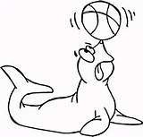 Foca Palla Zirkus Circo Seehund Seal Supercoloring Stampare Malvorlagen sketch template