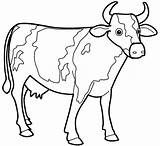Coloring Pages Cows Sharp Horn Color sketch template