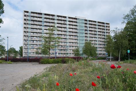 social housing de houtmanstraat  hoek van holland sociale huurwoningcom
