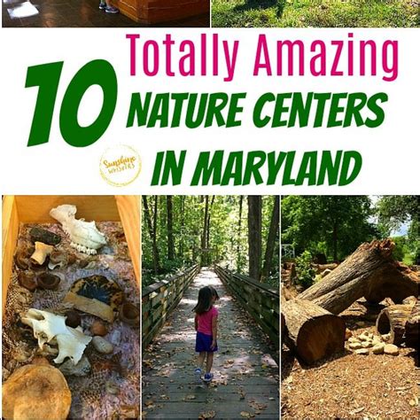 nature centers  maryland   spark  childs love