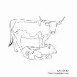 Cow Coloring Pages Cattle Longhorn Calf Color Printable Angus Texas Cows Drawing Beef Realistic Drawings Draw Line Getdrawings Brangus Popular sketch template