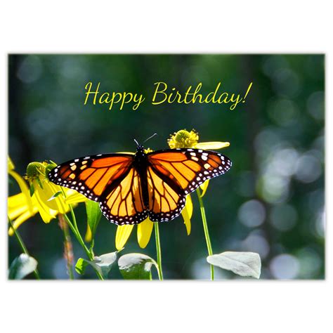 monarch butterfly birthday donabona cards