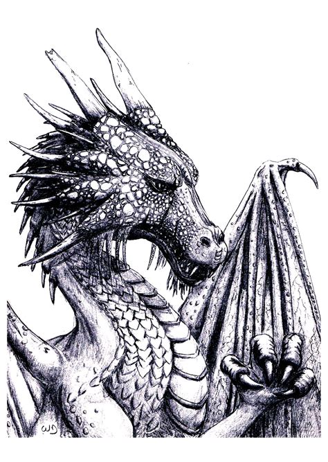 dragon dragons adult coloring pages