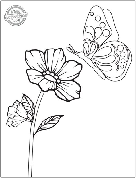 original pretty flower coloring page  print kids activities blog