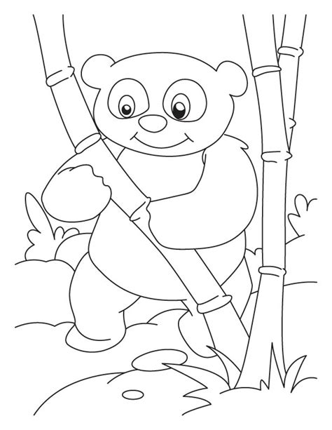 panda  bamboo drawing  getdrawings