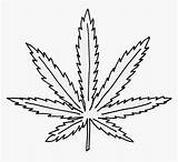 Leaf Coloring Marijuana Hemp Drawing Weed Adult Pages Printable Clipart Coloringonly Transparent Clipartmag Clipartkey Kindpng sketch template
