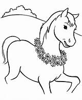 Coloring Horse Pages Cute Printable Horses Kids Horseshoe Girl Riding Funny Drawings Spirit Morgan Mustang Print Colouring Head Pony Clydesdale sketch template