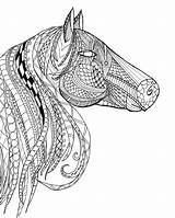 Coloring Horse Pages Adults Head Zentangle Adult Kids Detailed Colouring Printable Color Sheets Print Book Bestcoloringpagesforkids Drawing Books Mandala Getcolorings sketch template