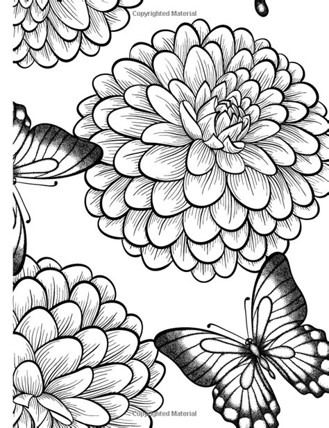 relaxing coloring pages shells coloring book relax color adult