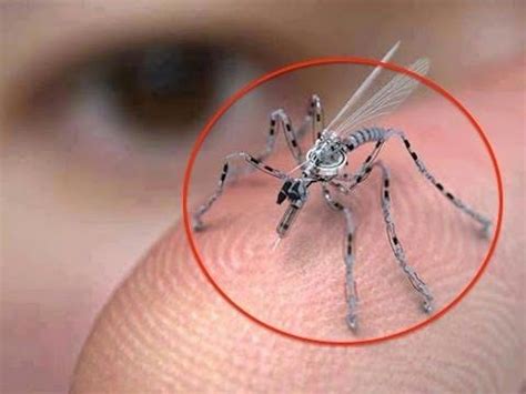 amazing  surveillance drones  size  insects surveillance drones insects drone