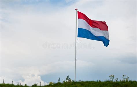 dutch national flag waving   wind stock photo image  culture independence