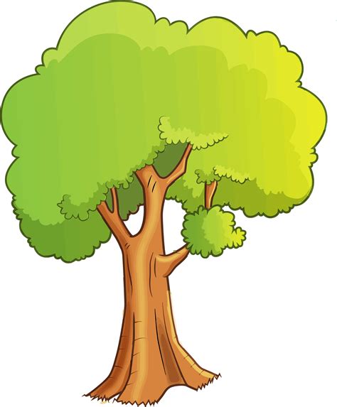 drawing tree png png image collection