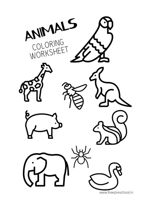 coloring pages  animals  preschool