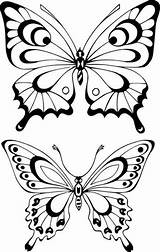 Papillon Papillons Butterfly Mariposas Butterflies Motyle Seul Tatouage Contour Mariposa Imprimible Kolorowanki Plantilla Biedronki Moldes Motyla Szablon 1backgrounds Diagrams Motyl sketch template