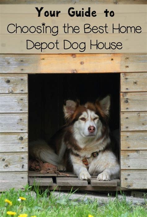 buying  home depot dog house dogvills