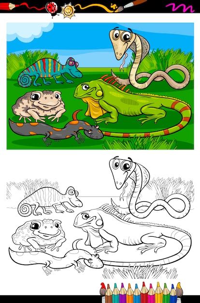 reptiles  amphibians coloring book premium vector