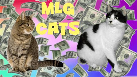 Mlg Cats Dank Cat Fails Memes Youtube