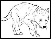draw cartoon wolves realistic wolves drawing tutorials drawing   draw wolves