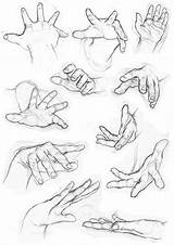 Hand Drawing Reference Anatomy Anime Hands Artstation Pencil sketch template