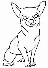 Chihuahua Coloring Pages Easy sketch template