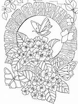 Therapy Relaxation Coloring Pages Books Colouring Adult Drawing Mandala Color Book Flower Printable Drawings Butterfly Getdrawings Print Detailed Kids Watercolor sketch template