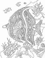 Angelfish Mandalas Erwachsene Zentangle Fisch Ausmalen Malen Colorier Páginas Adulte Poisson Magique Quallen Delfin Marins Mangala Pintar Pinnwand Dificiles Verkauft sketch template