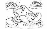 Frog Coloring Pages Tadpole Kids Frogs Cycle Life Leap Printable Drawing Toad Colouring Print Color Dart Poison Theme Getdrawings Getcolorings sketch template