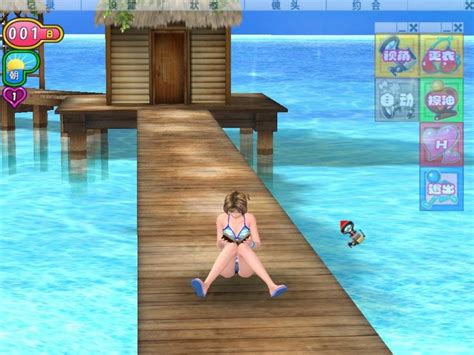 Sexy Beach Zero 2010 Windows Game