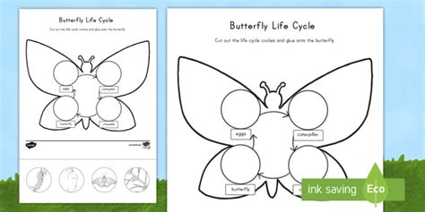 butterfly life cycle cut  paste activity sheet usa early