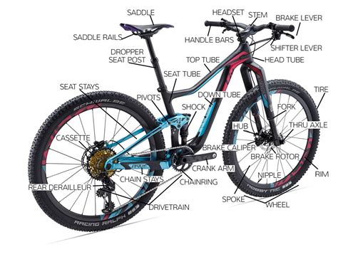 lapossa tenni horgony iranyitast atvesz mountain bike components diagram surusoedik fennsik
