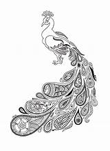 Paon Dessins Paisley Plumage Alice Au Coloring Dessin Pages Mandala Peacock Designs Noir Drawing Ations Cr Zentangle Drawings sketch template