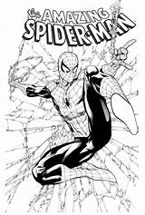 Spiderman Robertatkins Sotd Atkins Sketch Variates Alexhchung Comicvine sketch template