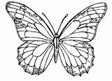 Butterfly Coloring Pages Hard Colouring Detailed Cute Monarch Printable Getcolorings Butterflies Getdrawings Colorings sketch template