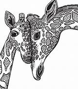 Giraffa Colorare Jirafas Mandalas Jirafa Pursuits Dibujos Zentangle sketch template