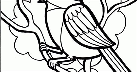 bird coloring pages  fcp