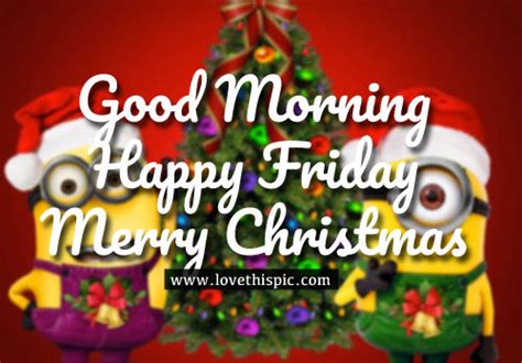 good morning happy friday merry christmas pictures   images  facebook tumblr