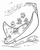 Finding Dory Nemo Manta Stingray Alunni Lezione Suoi Coloradisegni Ricerca Coloringbay sketch template