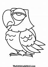 Coloring Pages Bird Parrot Owl Barn Adults Baby Advertisement Popular sketch template