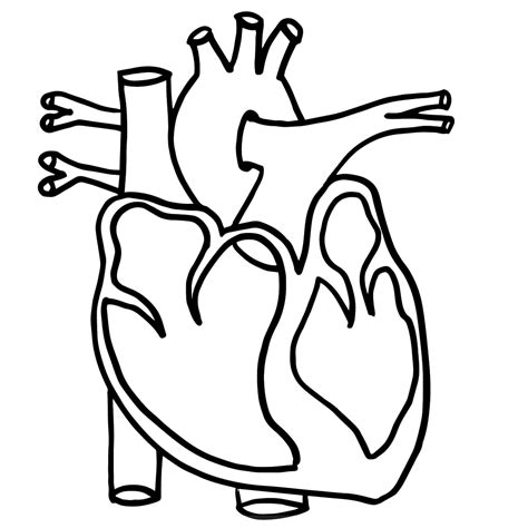 human heart clipart black  white    clipartmag