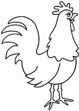Outline Rooster Hen Drawing Chicken Clipart Colouring Drawings Cute Colour Hens Simple Coloring Cartoon Animal Pages Printable Kid Draw Roosters sketch template