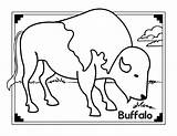 Coloring Boys Pages Buffalo African Town Animals sketch template