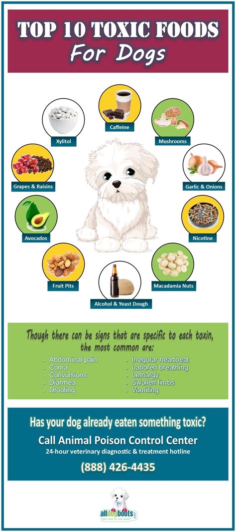 sold  toxic dog foods refrigerator magnet ubicaciondepersonas