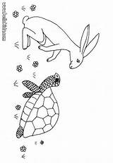 Hare Tortoise Coloring Pages Colouring Color Giant Hellokids Print Reptile Popular sketch template