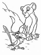 Zazu Coloring Pages Lion King Simba Getcolorings Amazing sketch template